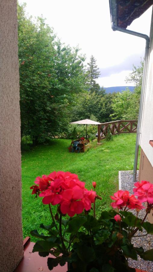 Apartment To Tutaj Szklarska Poreba