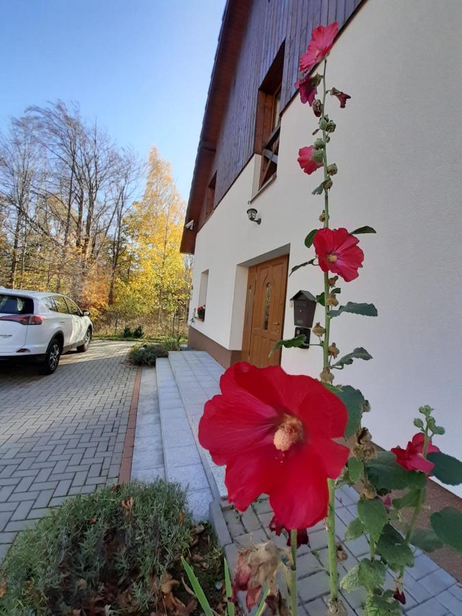 Apartment To Tutaj Szklarska Poreba